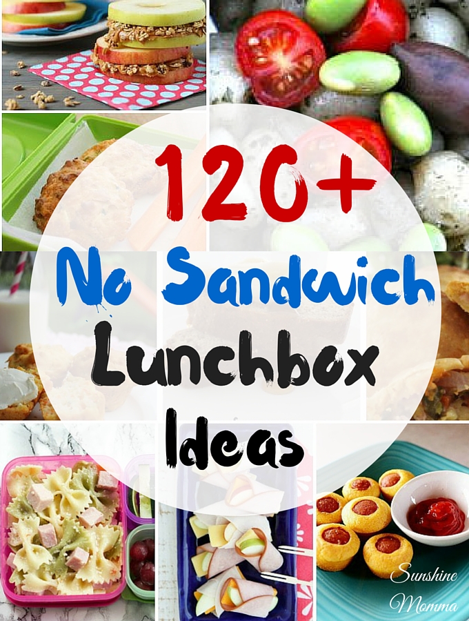 120+ No Sandwich Lunchbox Ideas- Sunshine Momma